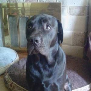 Meet your Posher, Jackie